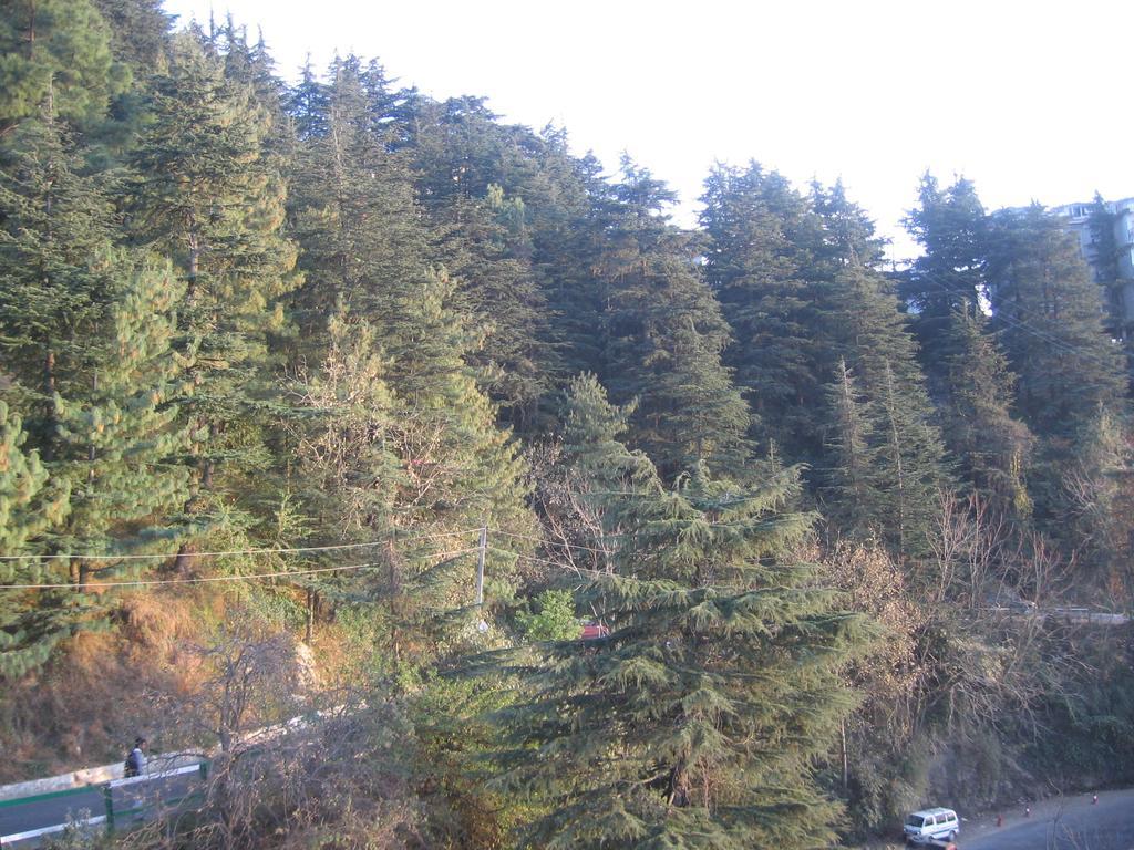Shimla View Home Екстериор снимка