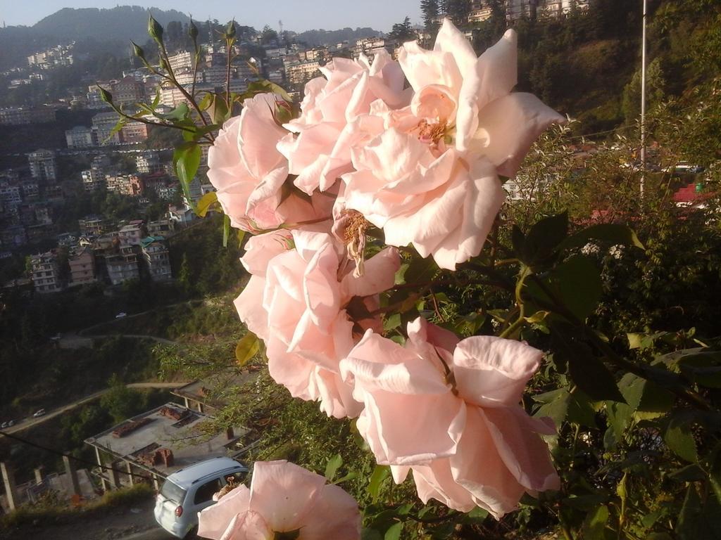 Shimla View Home Екстериор снимка