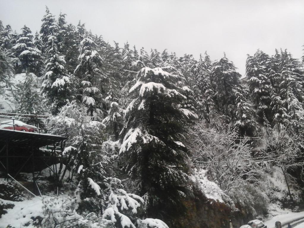 Shimla View Home Екстериор снимка